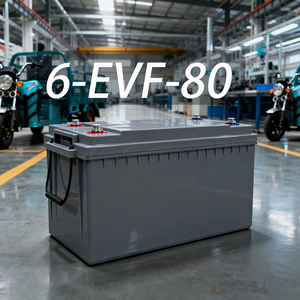 12V80ah EVF动力电池